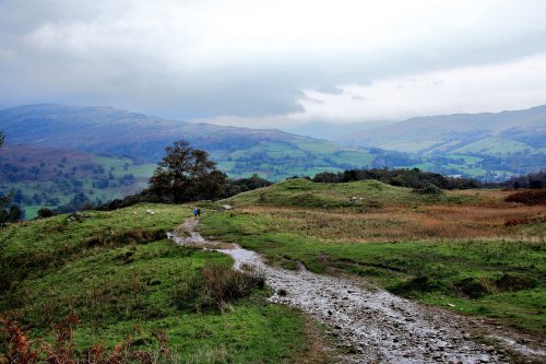 Loughrigg Fell Ambleside