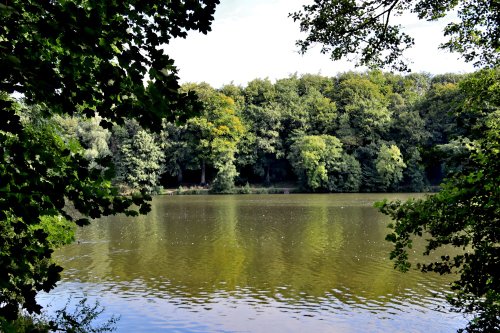Newmillerdam Country Park