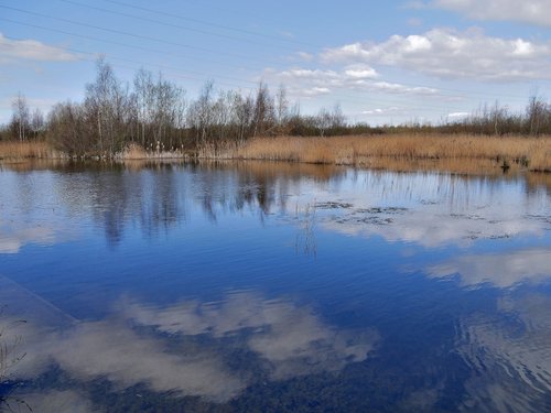 RSPB Old Moor