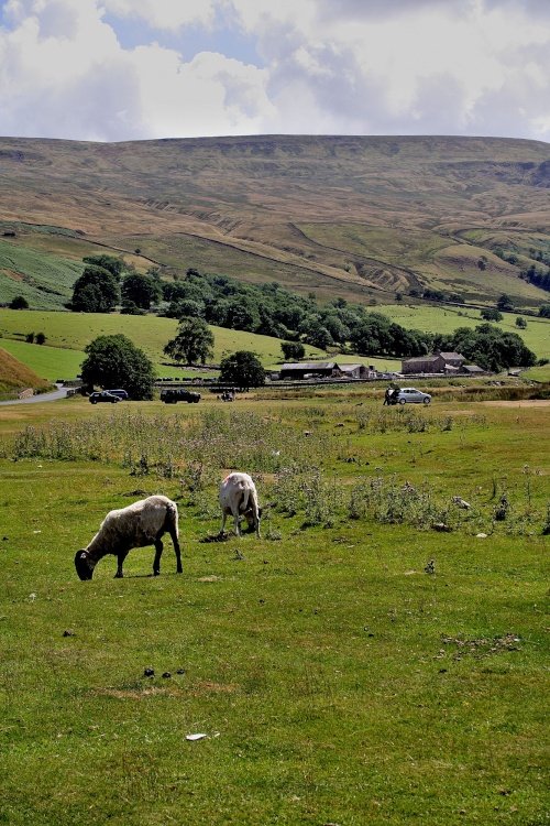 Embsay Moor near Skipton