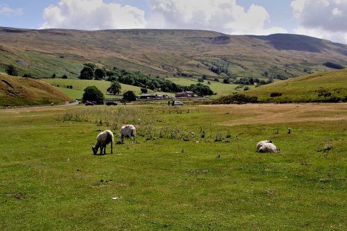 Embsay Moor near Skipton
