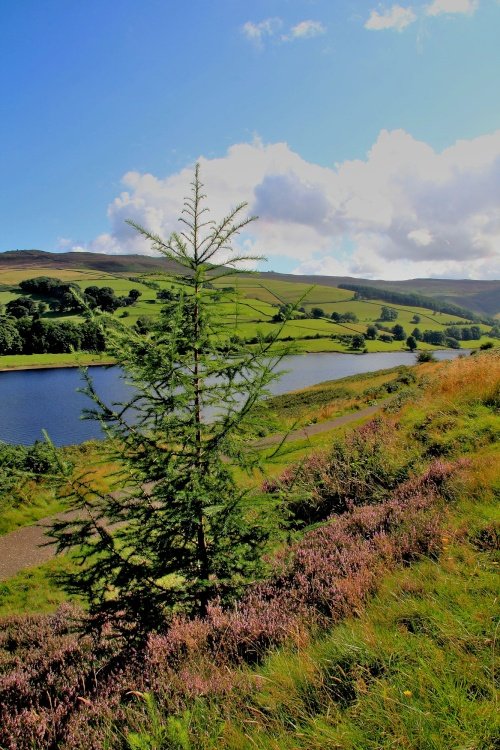 Ladybower Reservoir