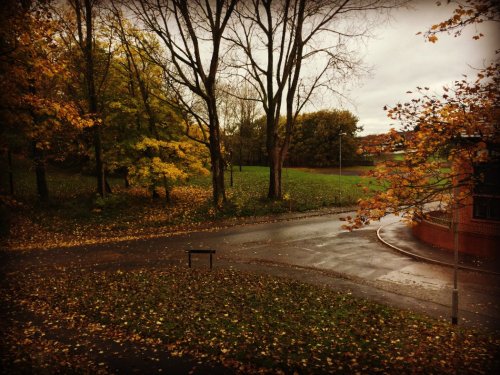 Autumn in Royton