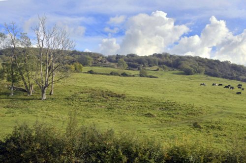 Landscape near Cheltenham
