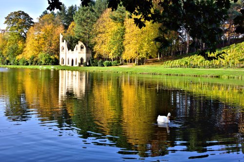 Autumn View of Painshill's Ruined Abbey with Swan