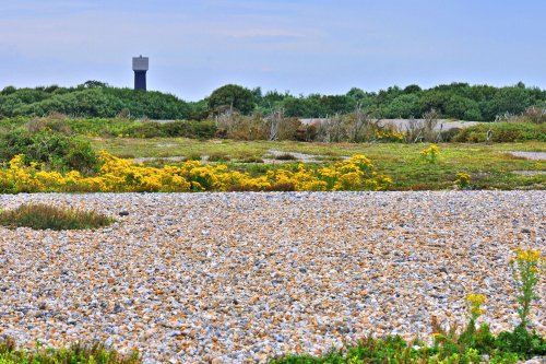 Dungeness Shingle Fields & The Old Water Tower