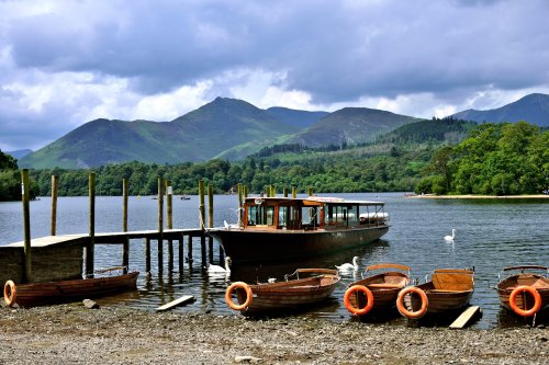 Derwent Water View with Swans in the Lake District