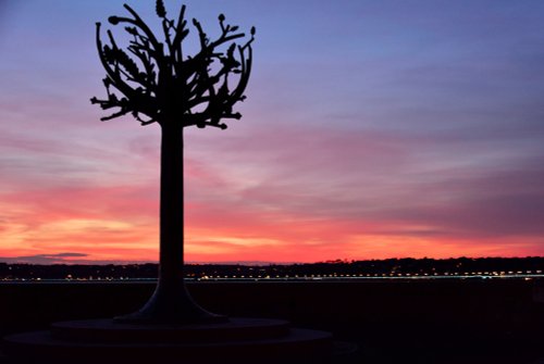 The Freedom Tree Sculpture, on the Marina at St Helier, at Sunset