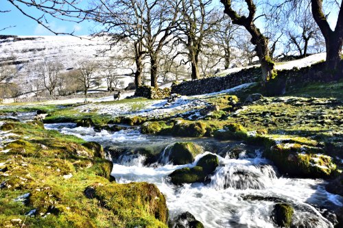 Gordale Beck Flowing Towards Janet's Foss, with Sheep Grazing on the Banks