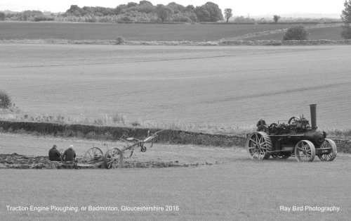Traction Engine Ploughing, nr Badminton, Gloucestershire 2016