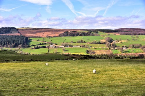 View West from Strines Over Bradfield Dale