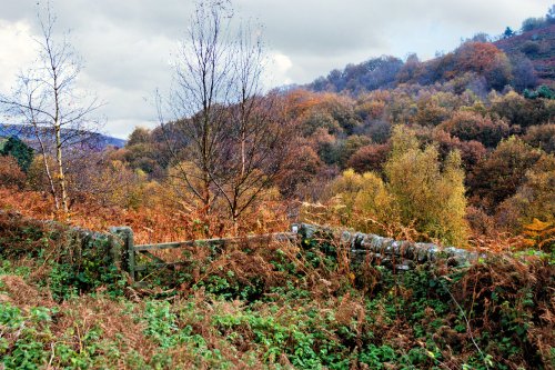 A Gate to Nowhere Near Strines in Autumn