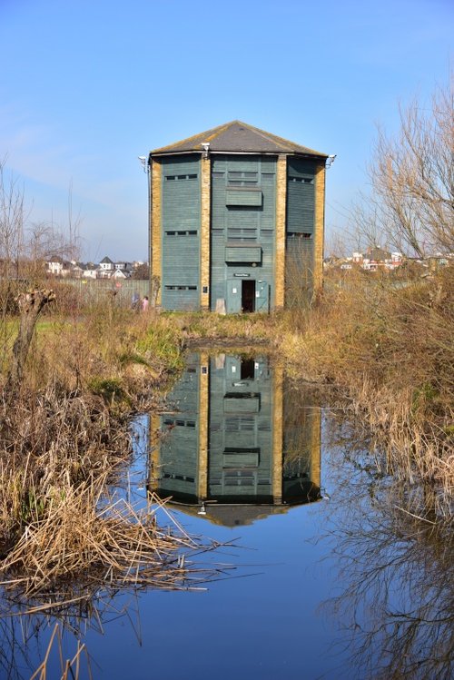 The Peacock Tower at WWT London