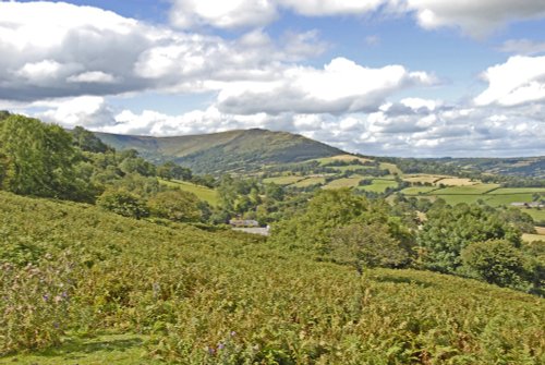 Llanthony area
