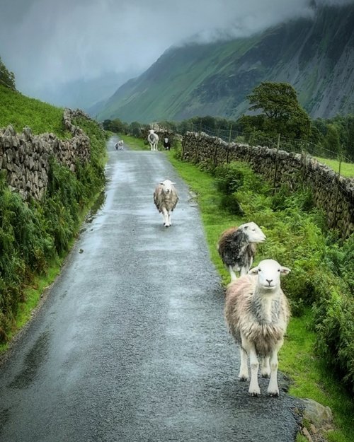 Perfect Traffic Jam    Lake District