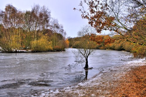 Winter View of Kingsmere