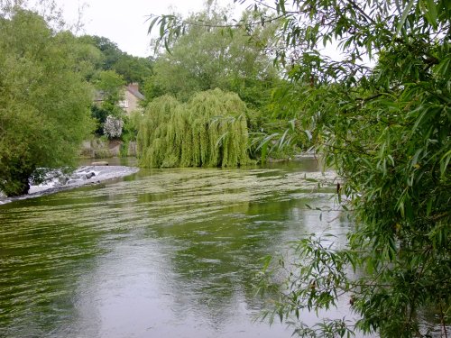 River Teme in summer
