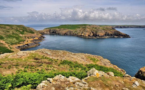 View From High Cliff to Skomer's South Haven