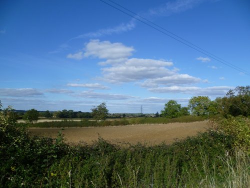 Padbury, 'Hedge Field'.
