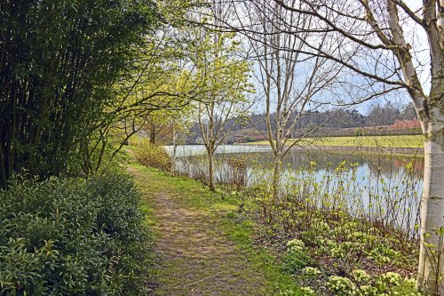 Markshall Estate Grounds