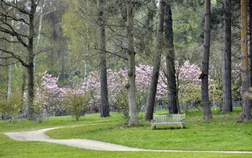 Markshall Estate Grounds