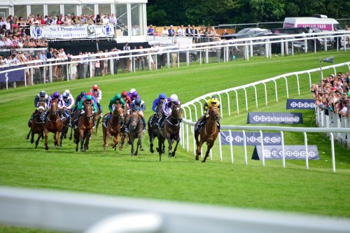 Into the Final Straight in the Epsom Derby