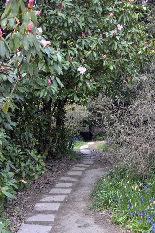 Riverhill Malayan Garden in Sevenoaks