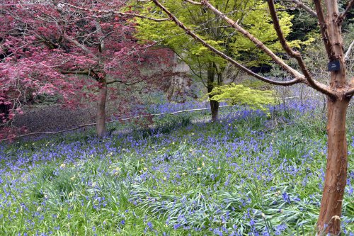 Riverhill Malayan Garden in Sevenoaks