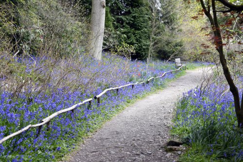 Riverhill Malayan Garden in Sevenoaks