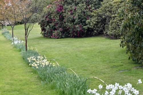 Riverhill Malayan Garden in Sevenoaks