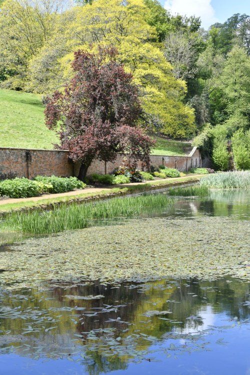 Upton House Garden