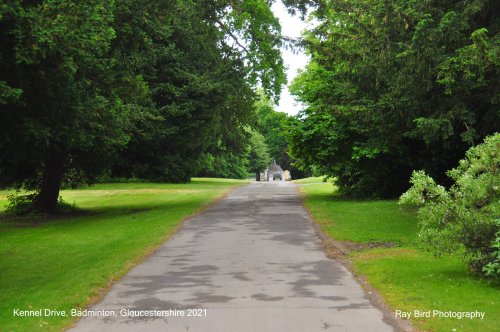 Kennel Drive, Badminton, Gloucestershire 2021