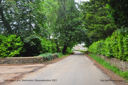 Luckington Lane, Badminton, Gloucestershire 2021