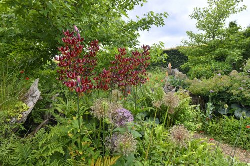 Arundel Castle Gardens