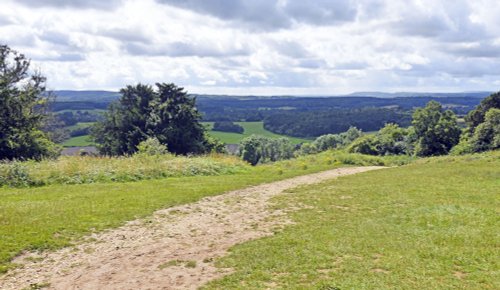 View from Newlands Corner