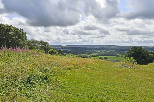 View from Newlands Corner