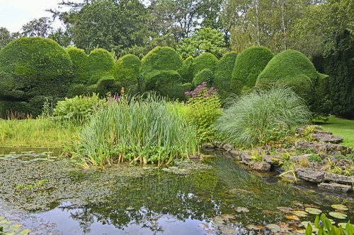 Doddington Place Garden Pond