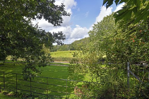 Clandon House Estate