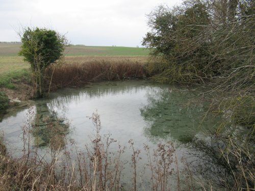 Well Head Springs, Bassingbourn, Cambridgeshire