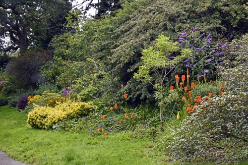 Borde Hill Garden