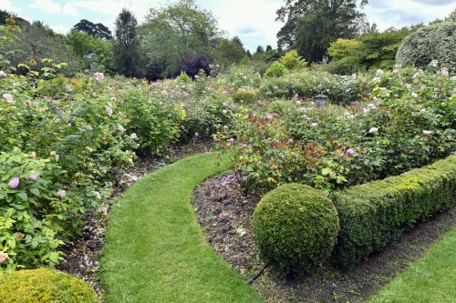 Borde Hill Garden