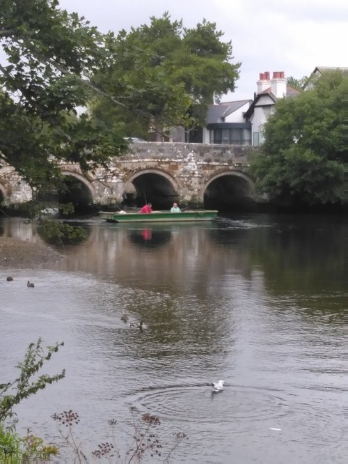 Fishing on Christchurch river