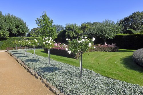 Penshurst Place Gardens
