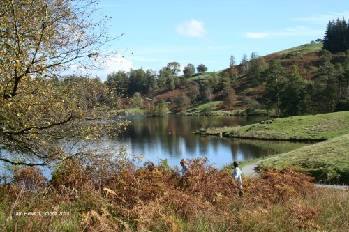 Tarn Hows