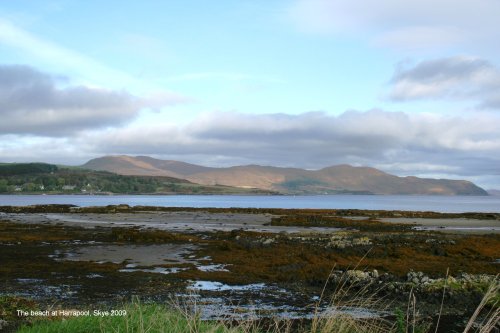 The beach at Harrapool