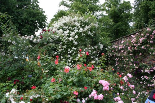 The Alnwick Garden in Alnwick