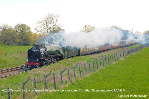 60163 Tornado, Badminton Line, Gloucestershire 2012
