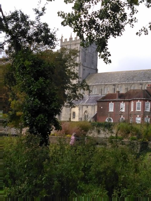 Christchurch Priory amidst the trees