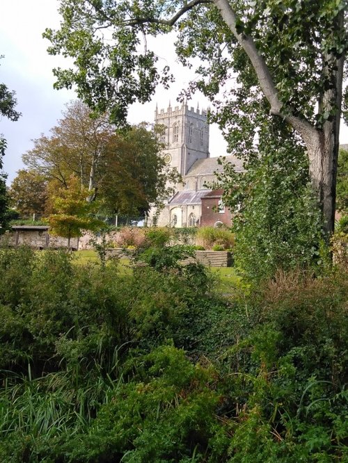 Christchurch Priory amidst the trees