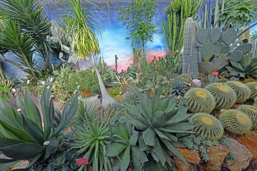 Lullingstone Castle Garden, The Cactus House